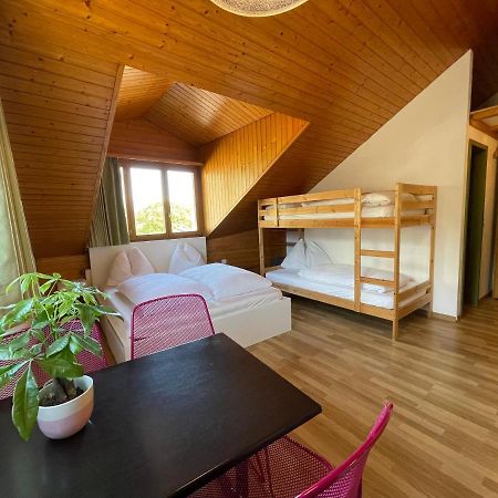 Central Beauty Scenery Apartment Interlaken Bagian luar foto