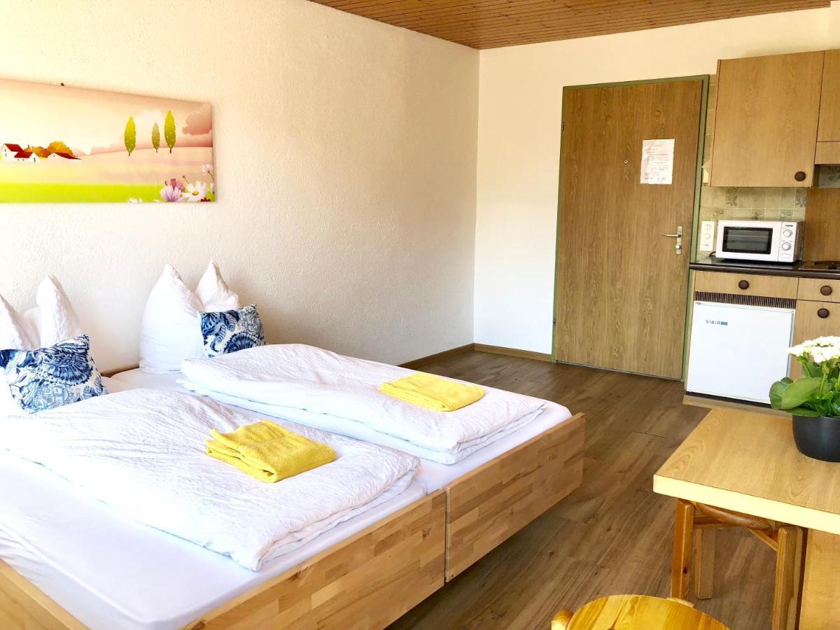Central Beauty Scenery Apartment Interlaken Bagian luar foto